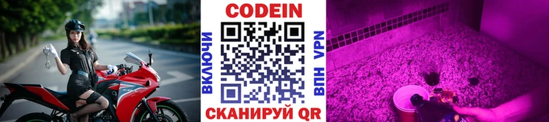 Codein Purple Drank  Купить где  Андреаполь 