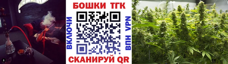 Купить закладки  Андреаполь  Каннабис Amnesia 